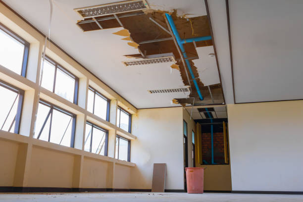 Best Fire Damage Restoration  in Rocky Top, TN