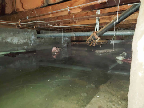  Rocky Top, TN Water damage restoration Pros