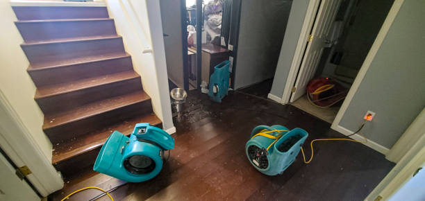 Best 24/7 water damage repair  in Rocky Top, TN