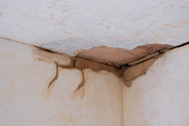 Best Flood restoration services  in Rocky Top, TN
