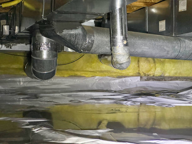 Best Flood damage cleanup  in Rocky Top, TN