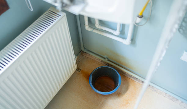 Best Water damage contractors near me  in Rocky Top, TN