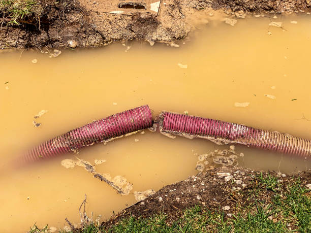 Best 24-hour water damage restoration  in Rocky Top, TN